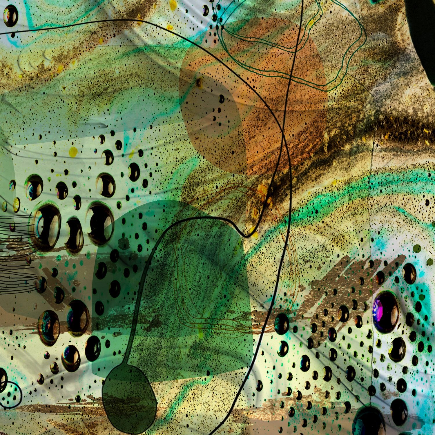 69164a62e1b8ea140711df10_field-of-life-8_1766963004026.jpg