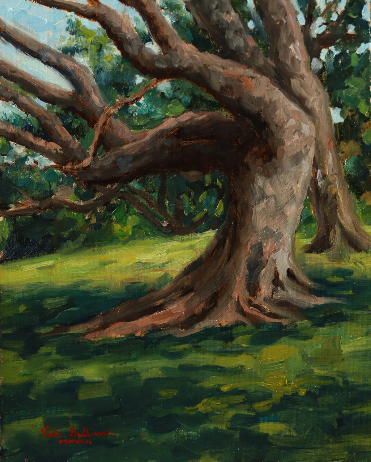 69164a62e1b8ea140711df10_fig-tree-at-sorrento-park-oil-on-linen-h-25cm-x-w-20cm-2022_1791140291808.jpg