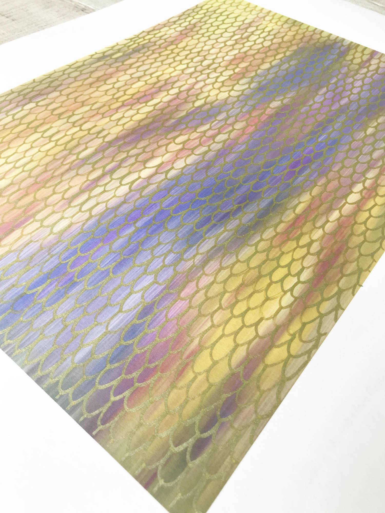 69164a62e1b8ea140711df10_fineart-butterflyygumstudy-cu_1785379421701.jpg
