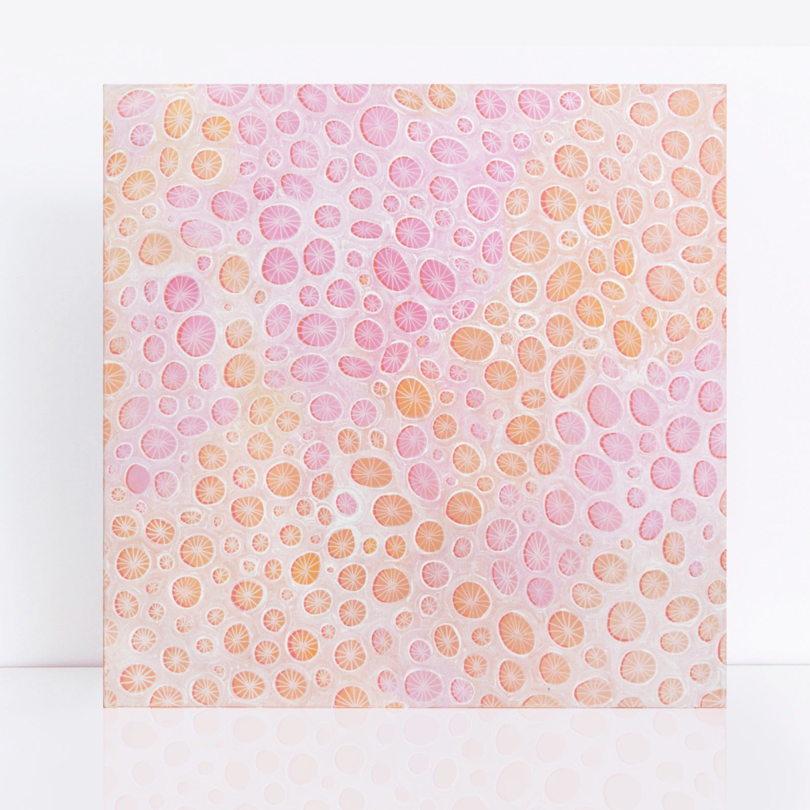 69164a62e1b8ea140711df10_fineart-coral-form-f_1784846100269.jpg