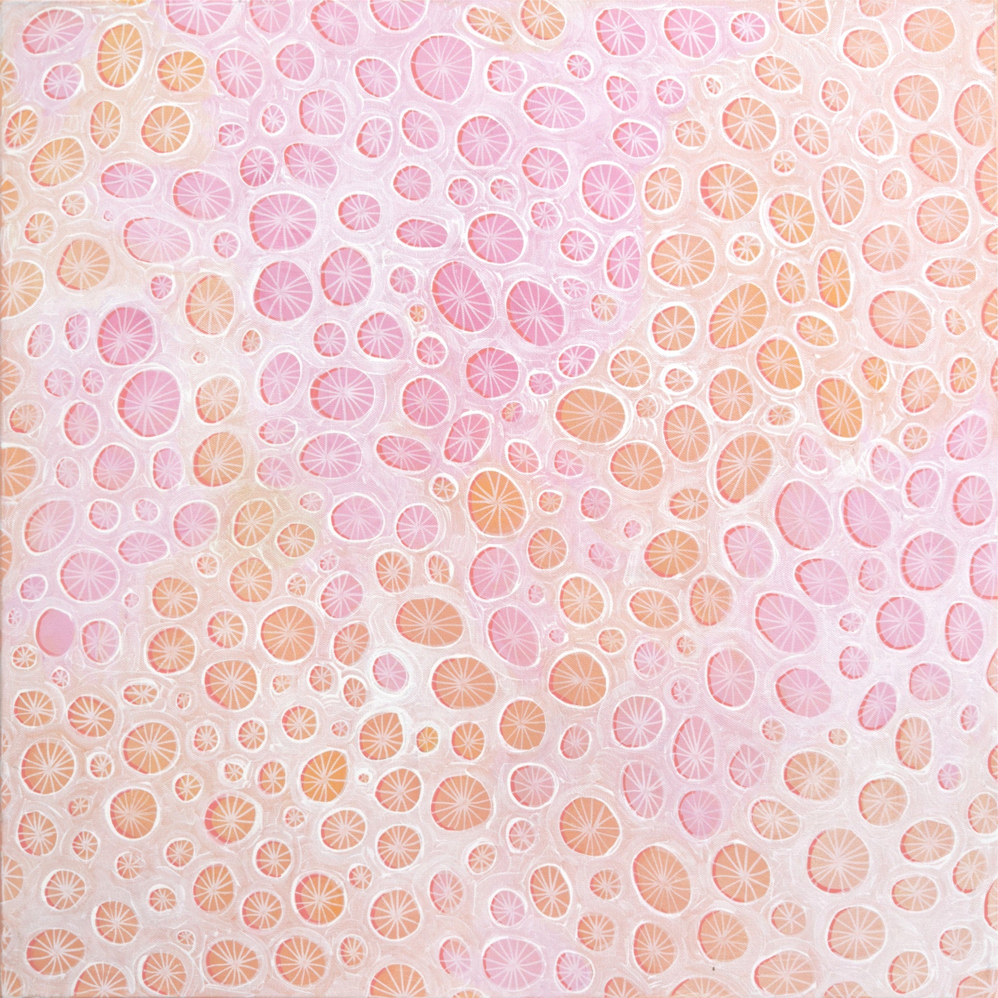 69164a62e1b8ea140711df10_fineart-coral-form_1784846060286.jpg