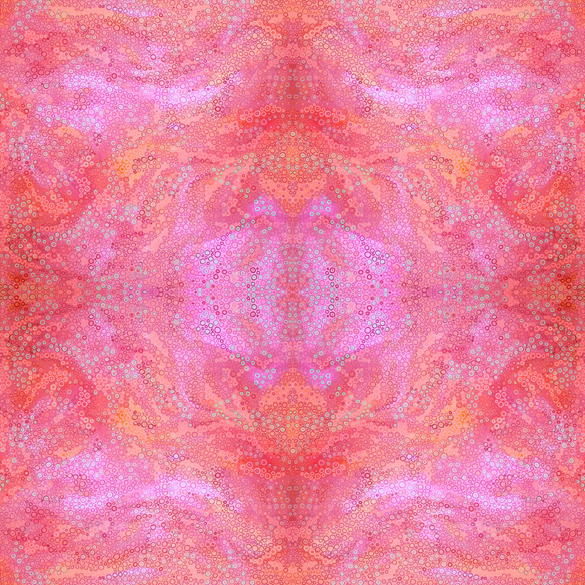 69164a62e1b8ea140711df10_fineart-jacarandafire-kaleidoscope_1791782743402.jpg