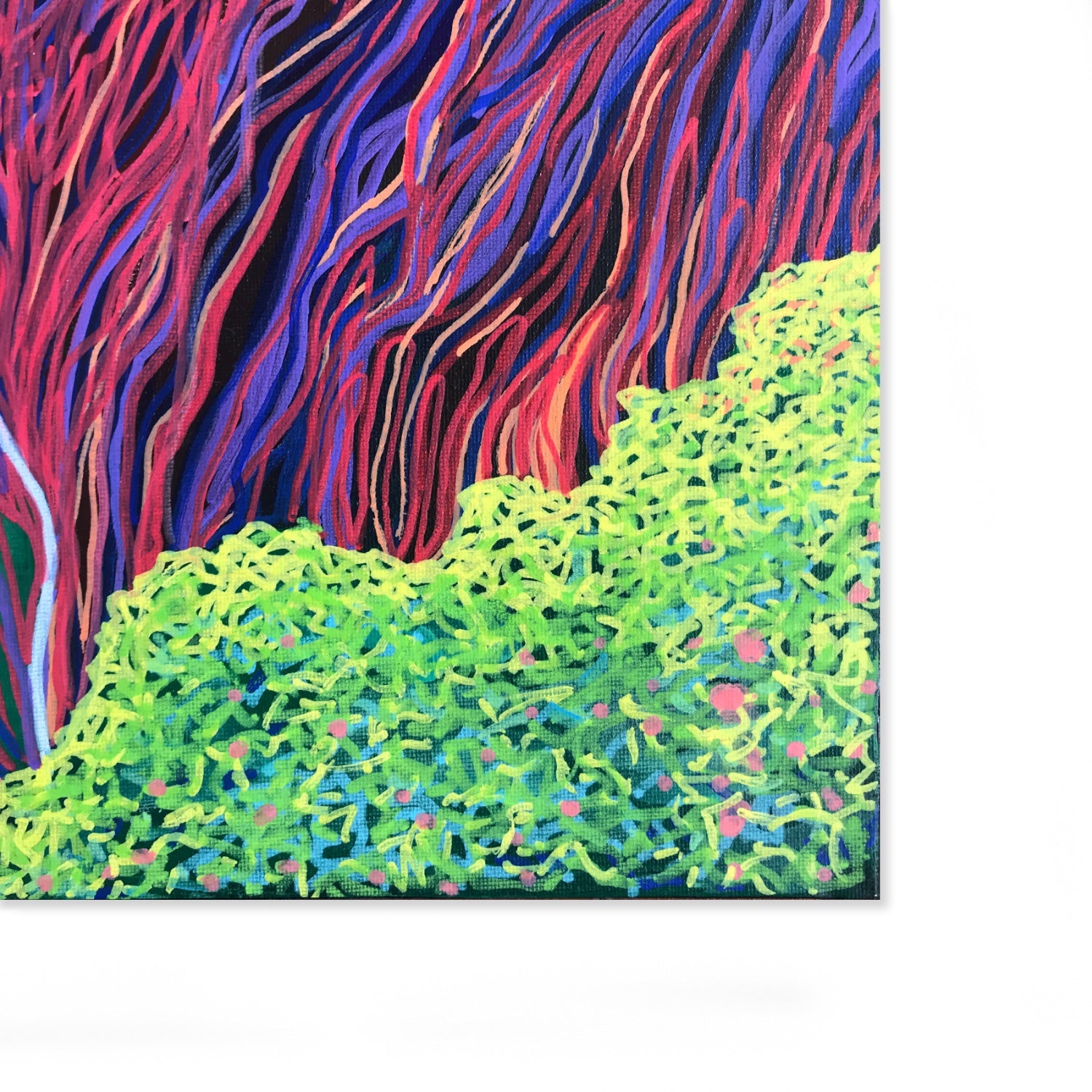 69164a62e1b8ea140711df10_fineart-rainbowfalls-cu_1784846287006.jpg