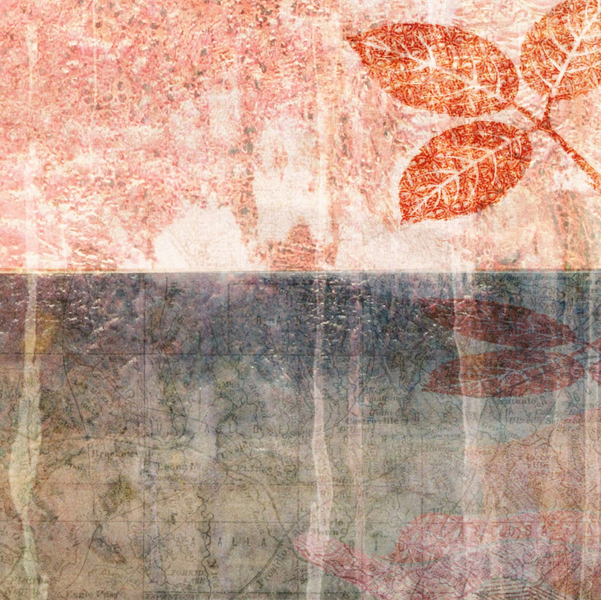 69164a62e1b8ea140711df10_fineart-rose-cu2_1791782353277.jpg