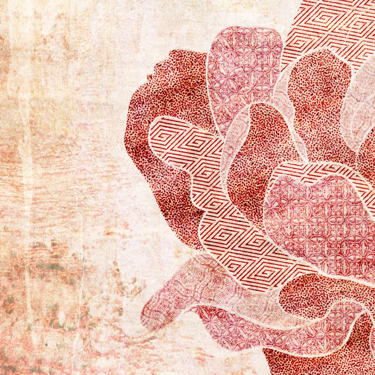 69164a62e1b8ea140711df10_fineart-rose-cu_1791782348981.jpg