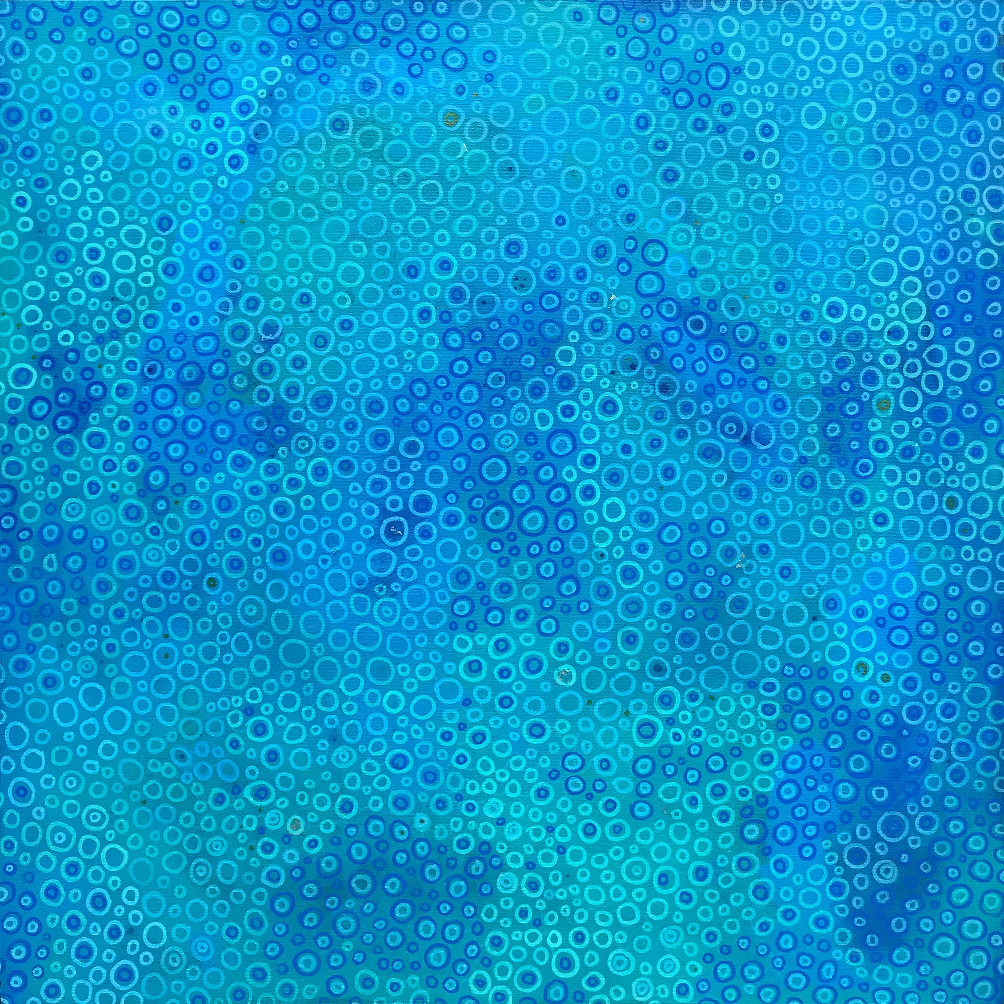69164a62e1b8ea140711df10_fineart-summercoral_1787614189376.jpg