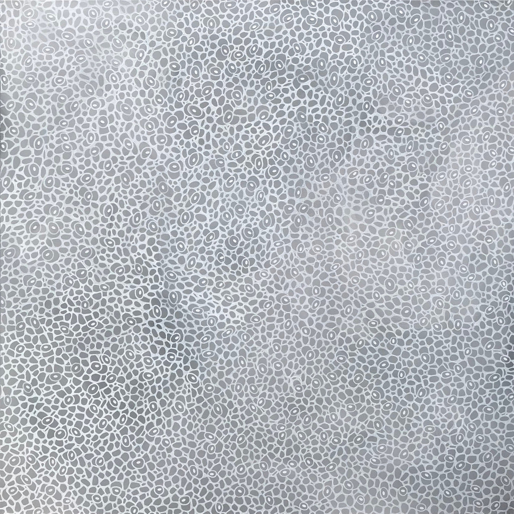 69164a62e1b8ea140711df10_fineart-variegated10_1787097448069.jpg