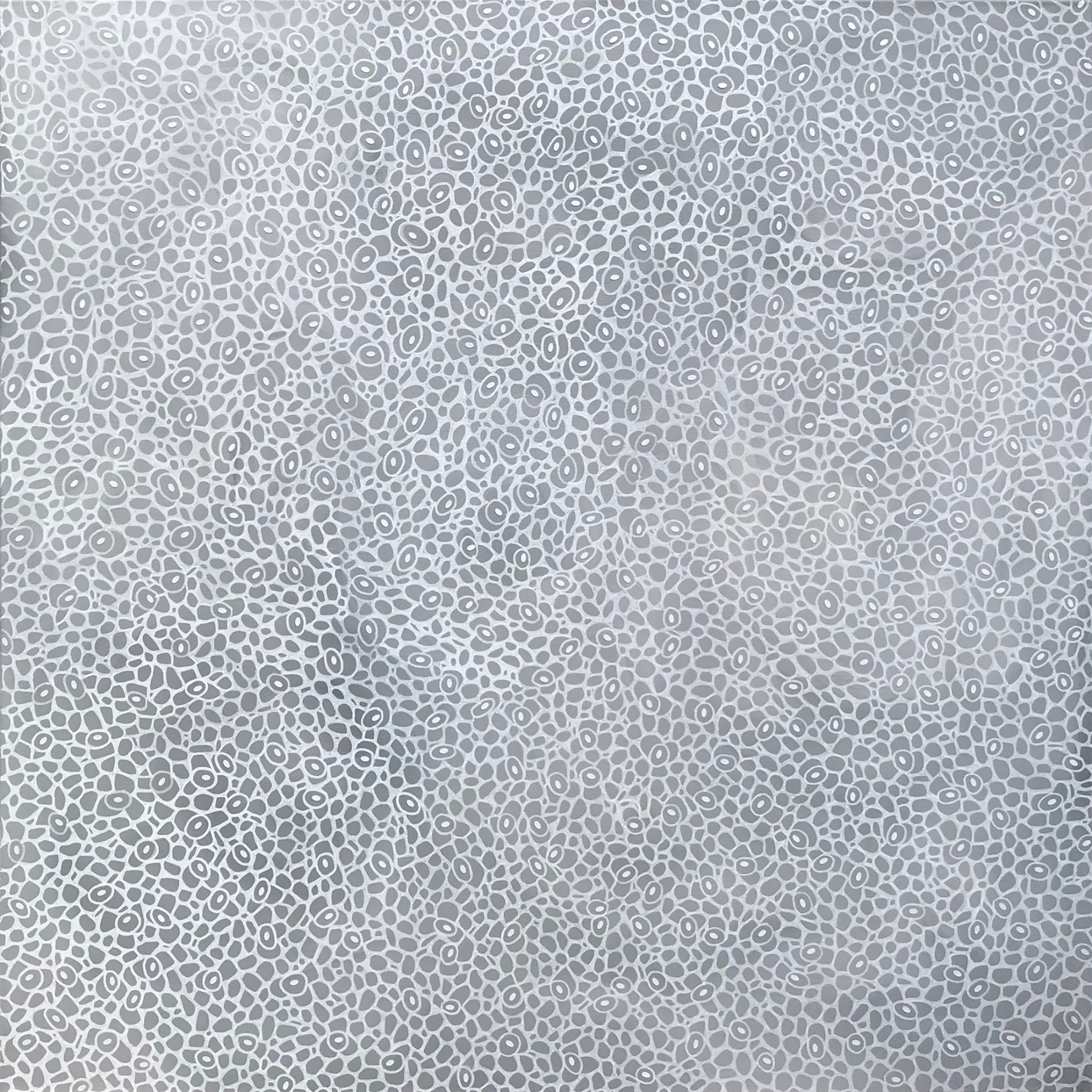 69164a62e1b8ea140711df10_fineart-variegated10_1787097448069.jpg