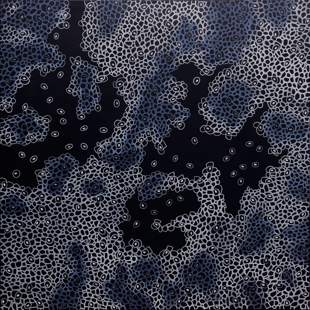 69164a62e1b8ea140711df10_fineart-variegated11_1791247162096.jpg
