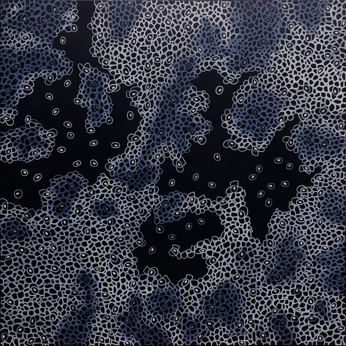 69164a62e1b8ea140711df10_fineart-variegated11_1791247162096.jpg