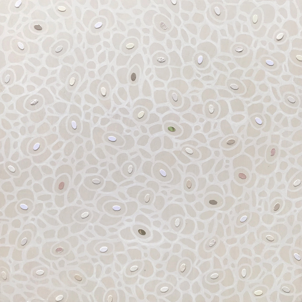 69164a62e1b8ea140711df10_fineart-variegated18_1792617510677.jpg