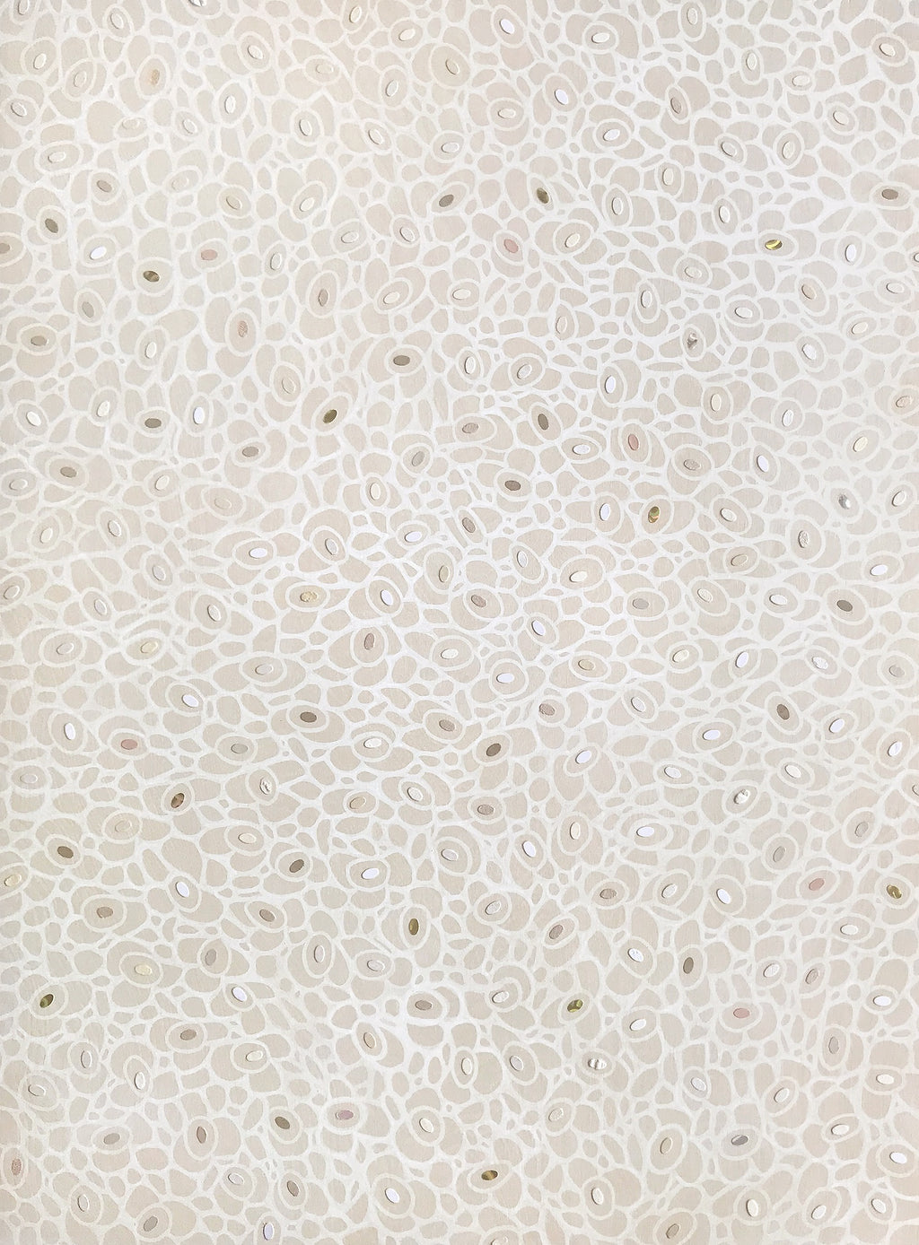 69164a62e1b8ea140711df10_fineart-variegated20_1791589364832.jpg