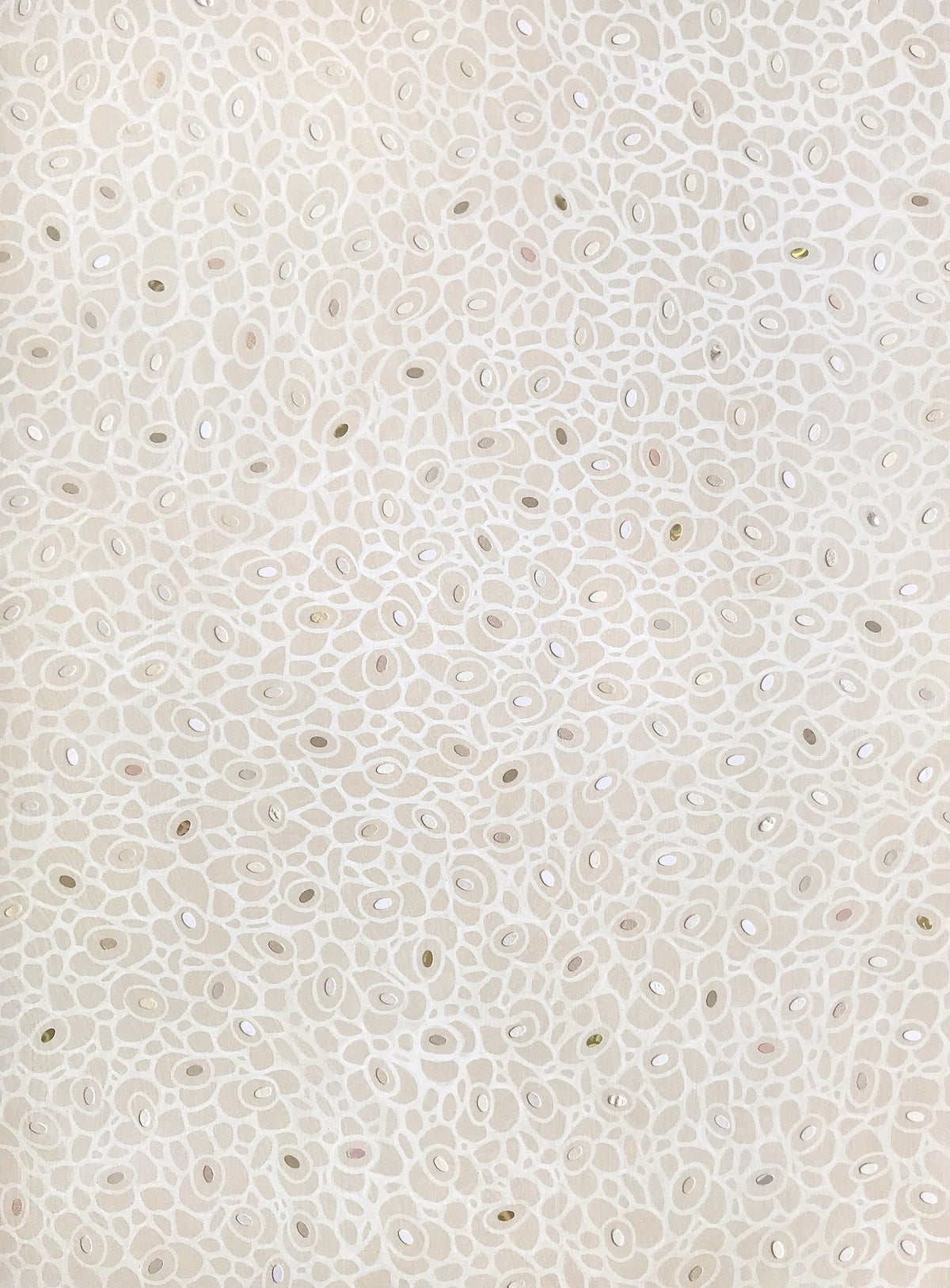 69164a62e1b8ea140711df10_fineart-variegated20_1791589364832.jpg