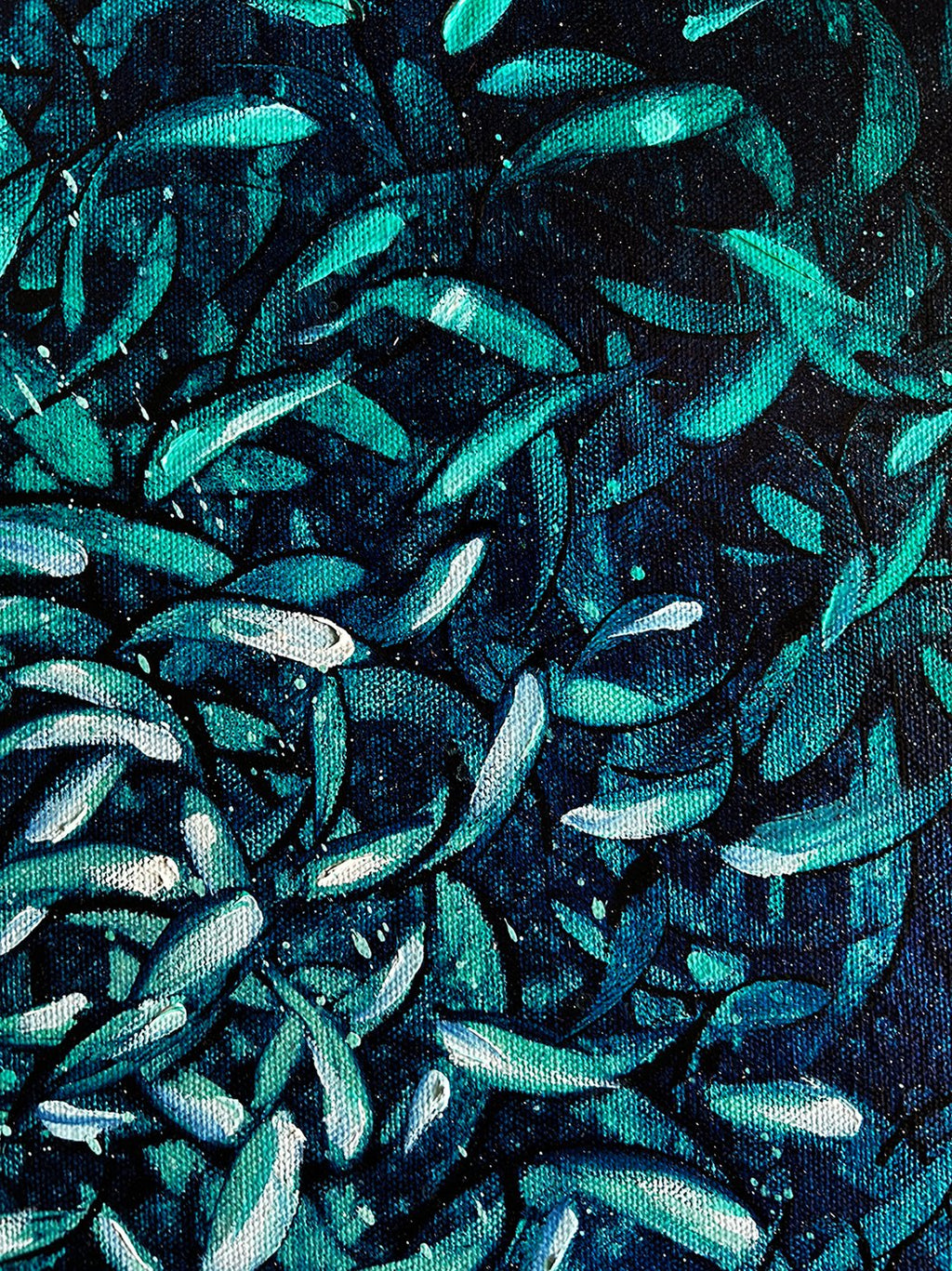 69164a62e1b8ea140711df10_fish-and-more-fish-close-lr_1783973938320.jpg