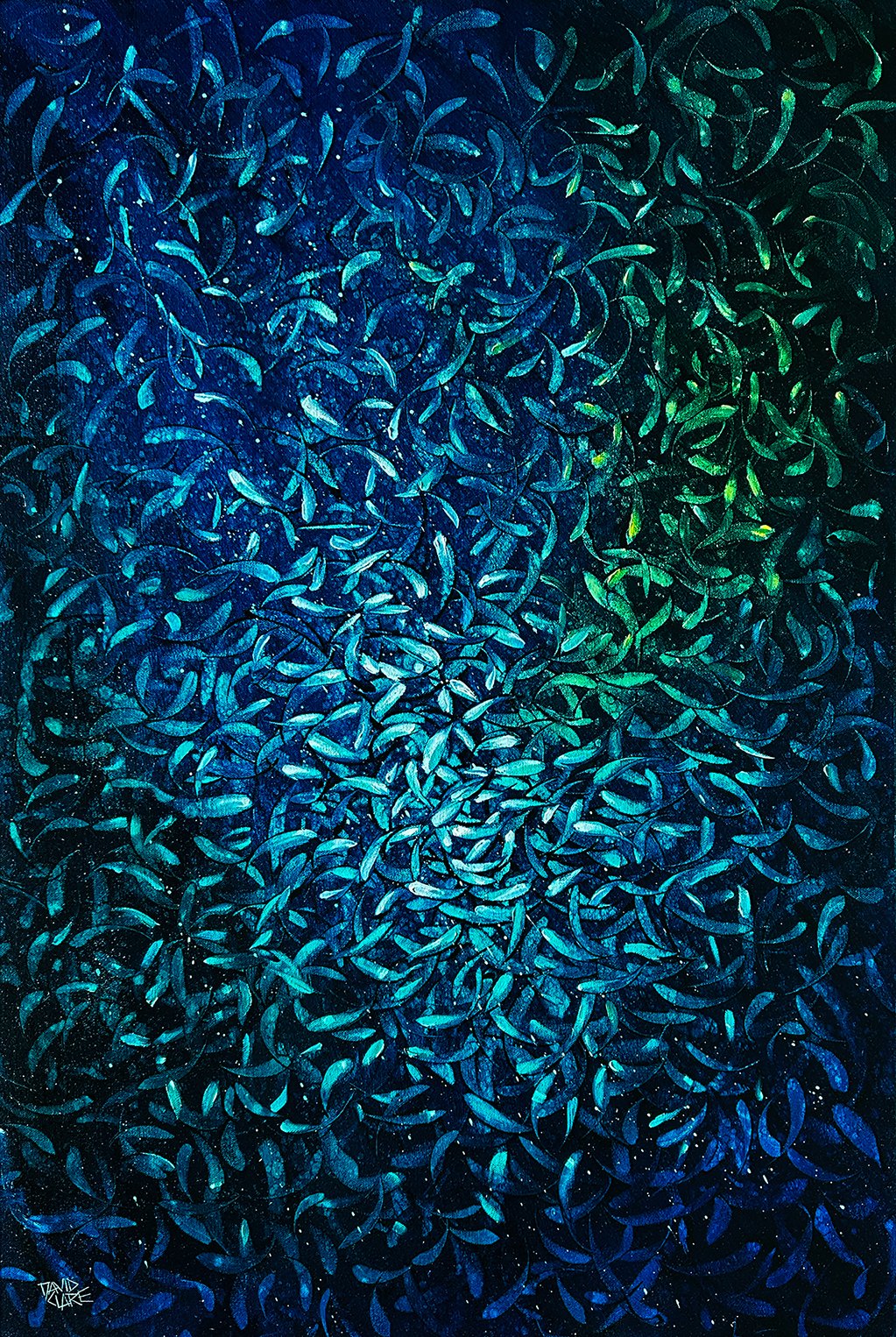 69164a62e1b8ea140711df10_fish-and-more-fish-lr_1783973938319.jpg