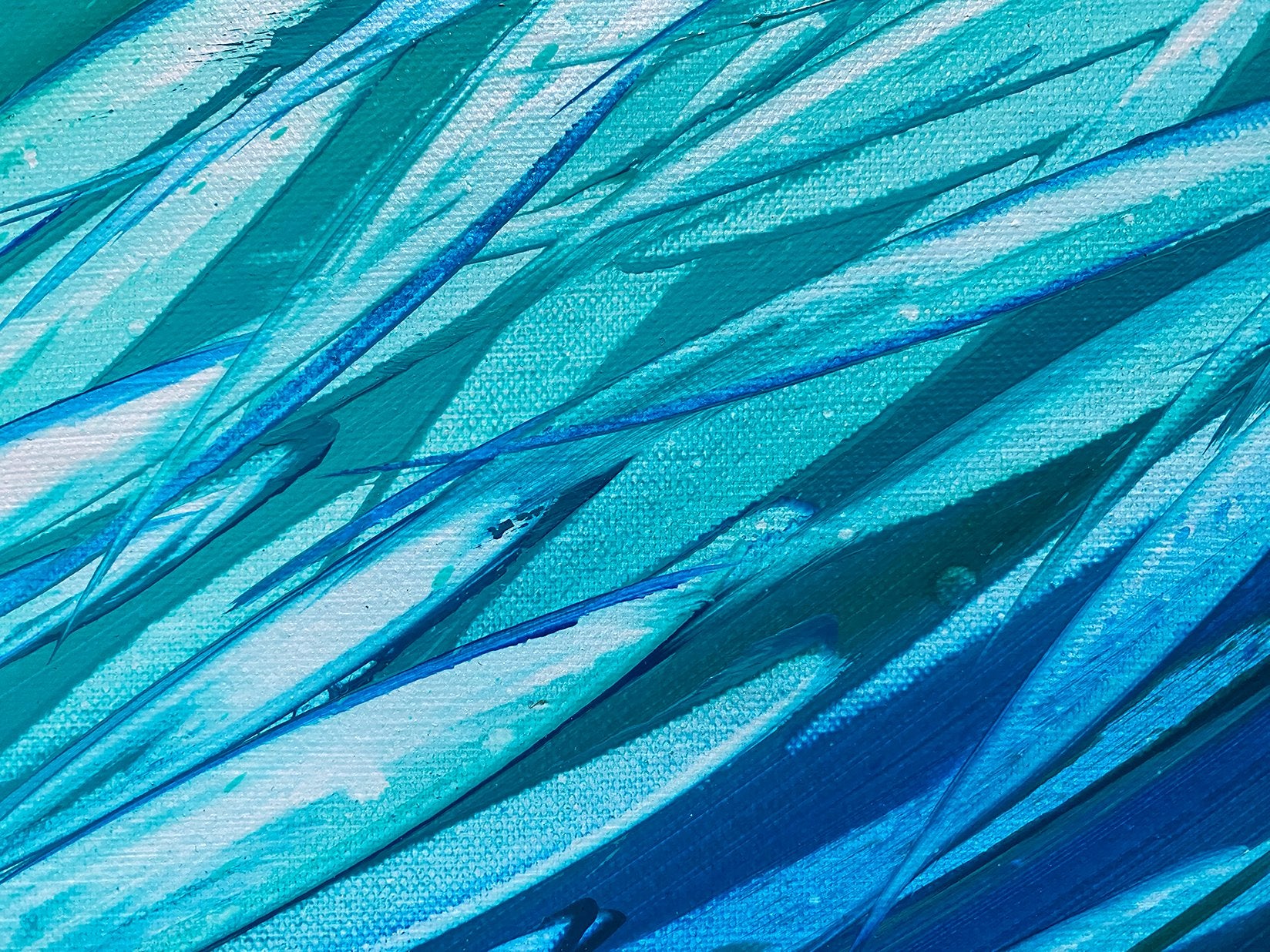 69164a62e1b8ea140711df10_fish-in-green-and-aqua-close-lr_1773819799842.jpg
