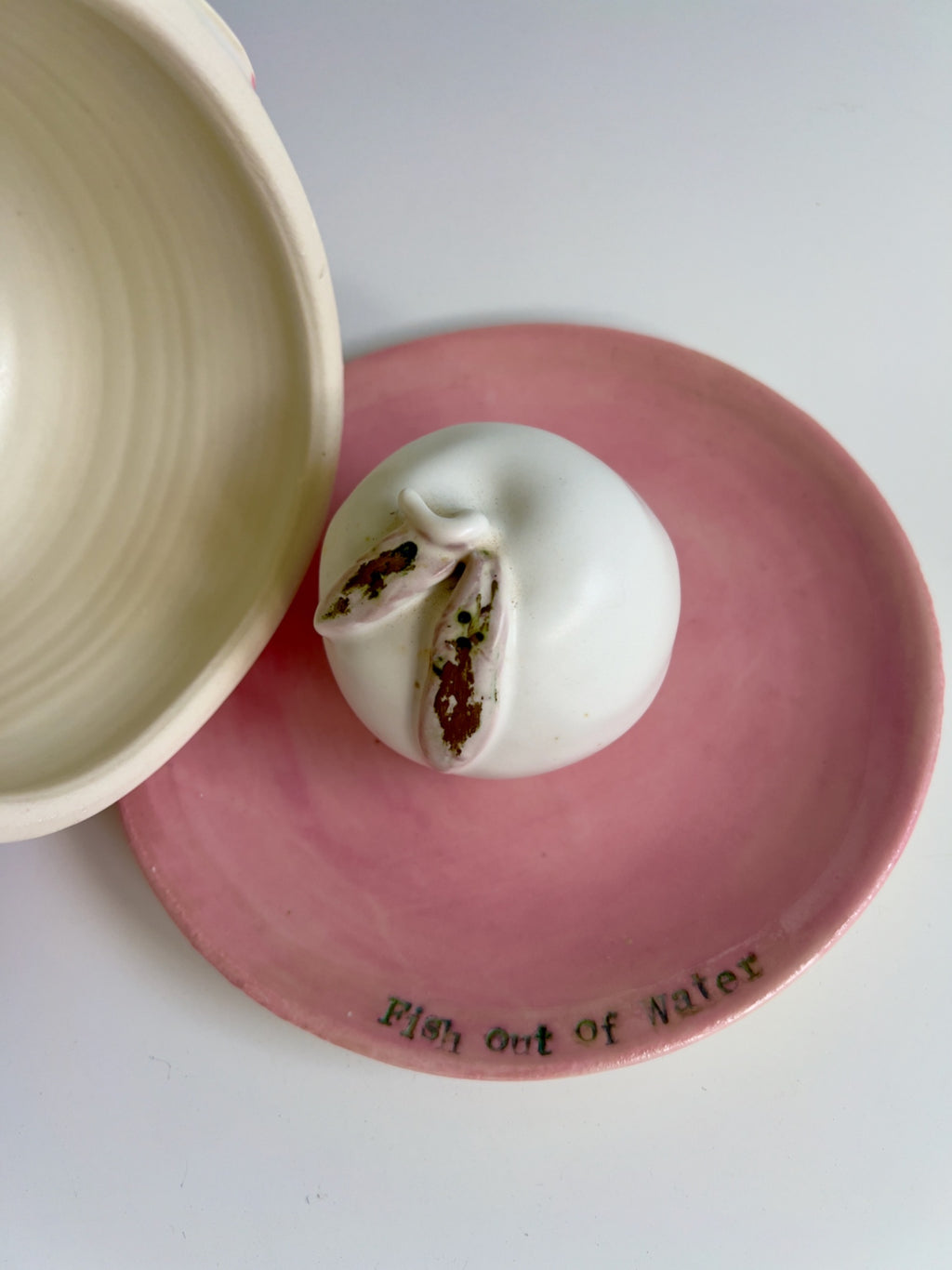 69164a62e1b8ea140711df10_fish-out-of-water-cake-apple-_1770510559953.jpeg