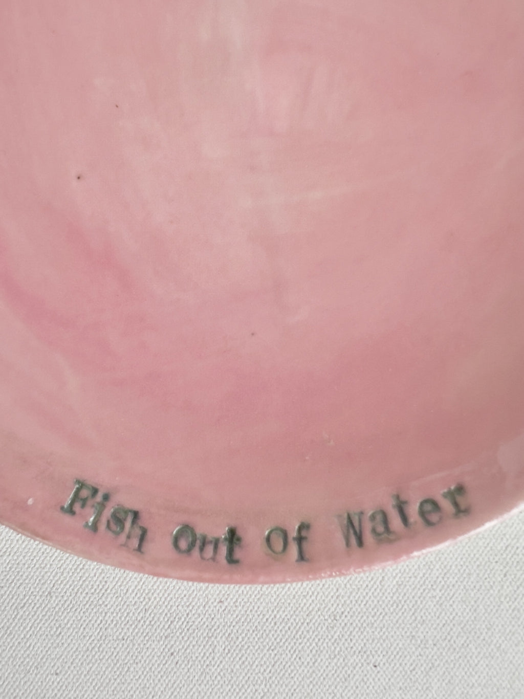 69164a62e1b8ea140711df10_fish-out-of-water-plate-edge-susannah-paterson-_1770510562839.jpeg