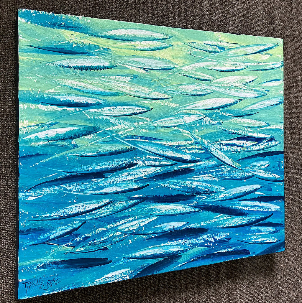69164a62e1b8ea140711df10_fish-with-texture-ls-lr_1773820679456.jpg