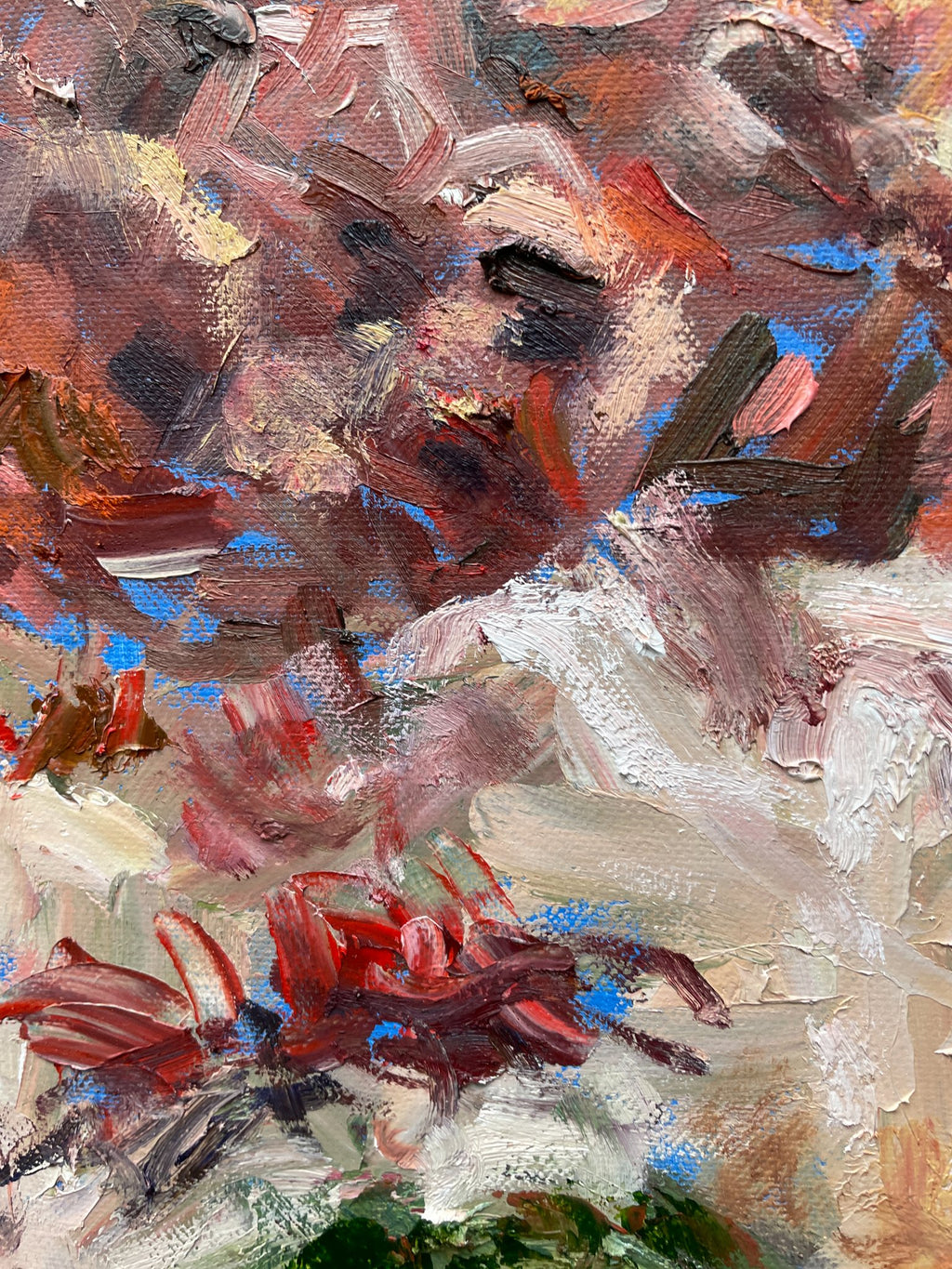 69164a62e1b8ea140711df10_flinders-ranges-1-closeup-2_1784962099061.jpg