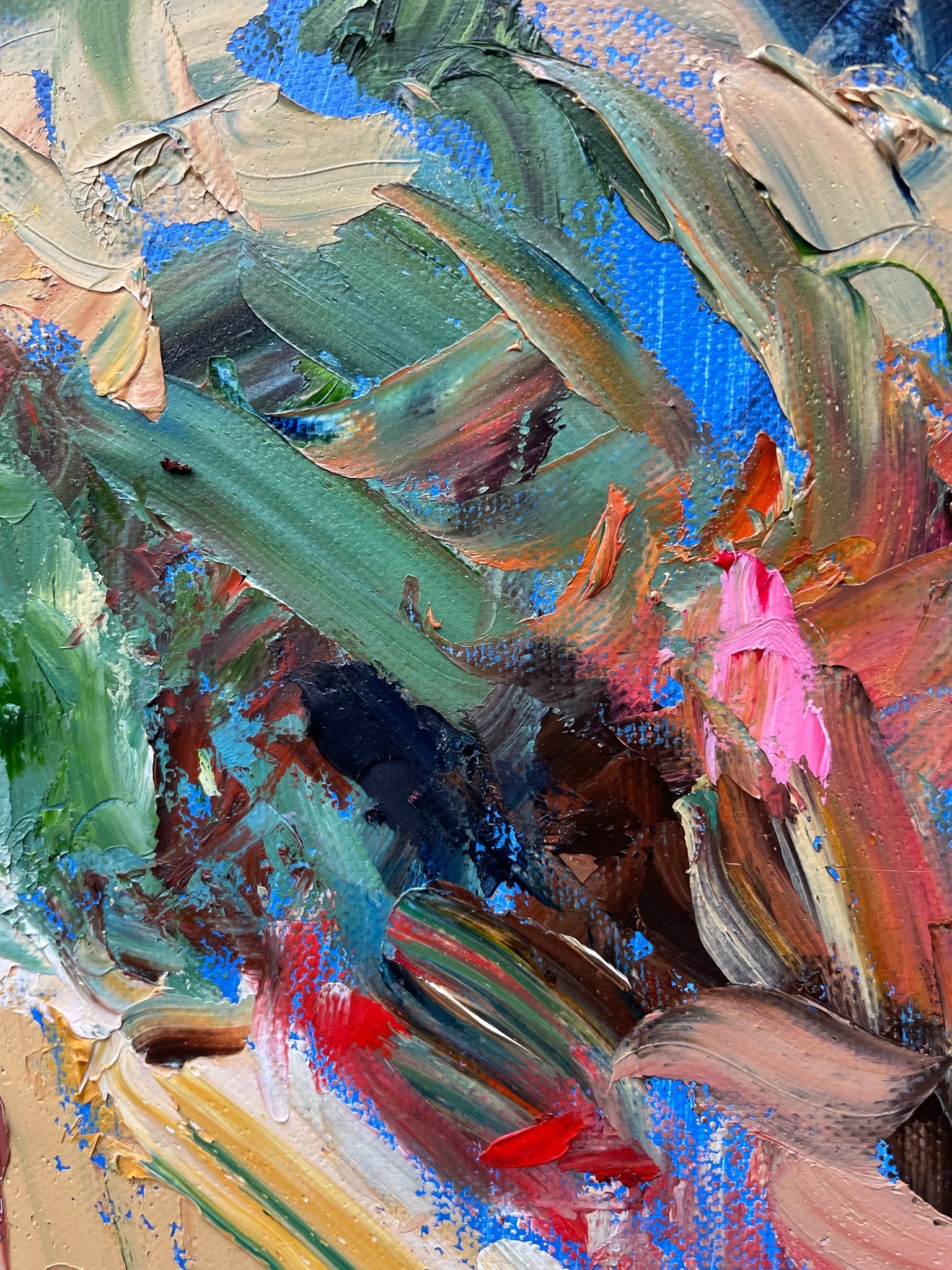 69164a62e1b8ea140711df10_flinders-ranges-2-closeup-2_1785132320328.jpg