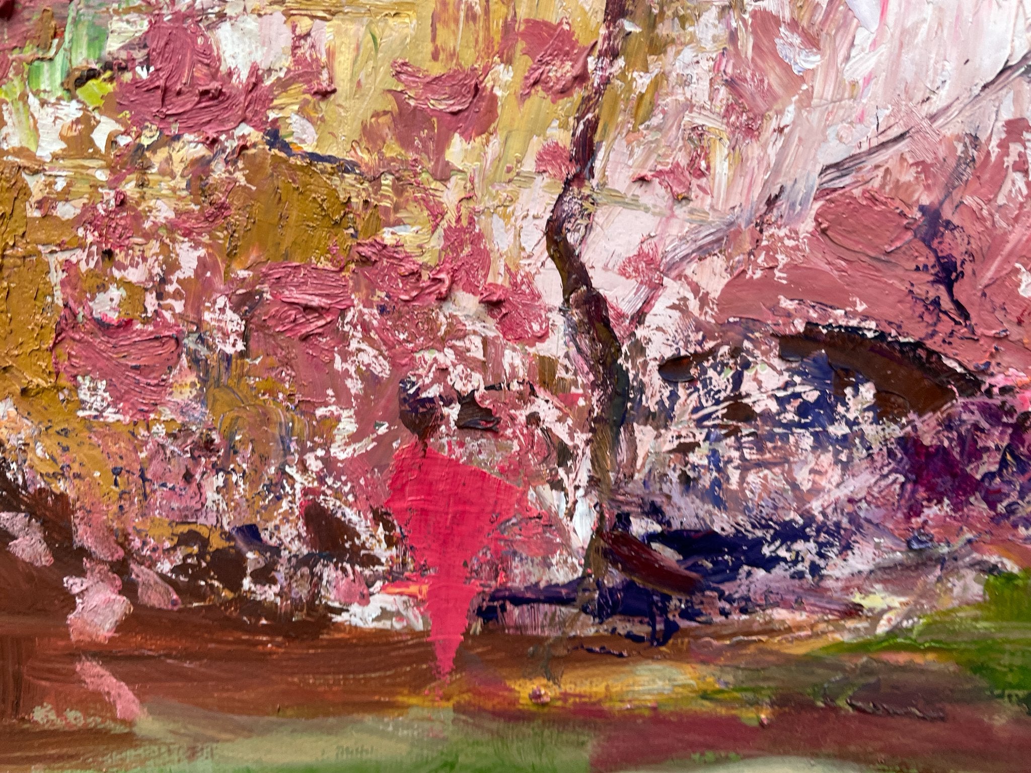 69164a62e1b8ea140711df10_flinders-ranges-3-closeup-1_1786771215282.jpg
