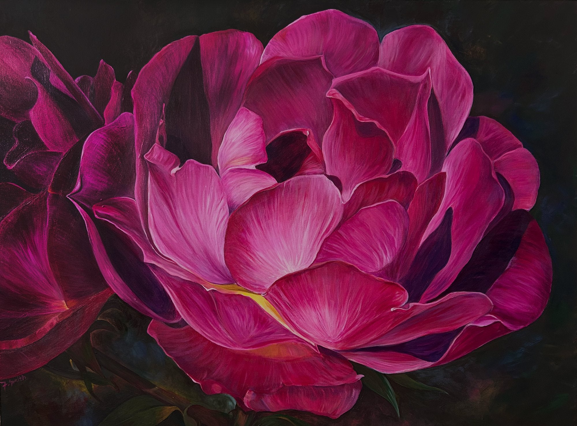 69164a62e1b8ea140711df10_fran-smith-pink-rose_1785658358314.jpg