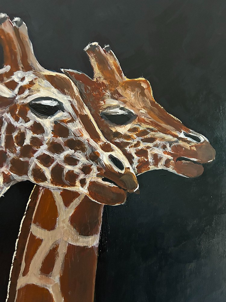 69164a62e1b8ea140711df10_giraffes-at-taronga-detail-1_1776142412600.jpg