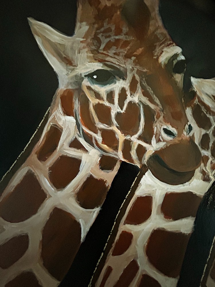 69164a62e1b8ea140711df10_giraffes-at-taronga-detail-2_1776142410151.jpg