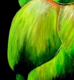 69164a62e1b8ea140711df10_globe-painting-artichoke-segment_1784606030860.jpg