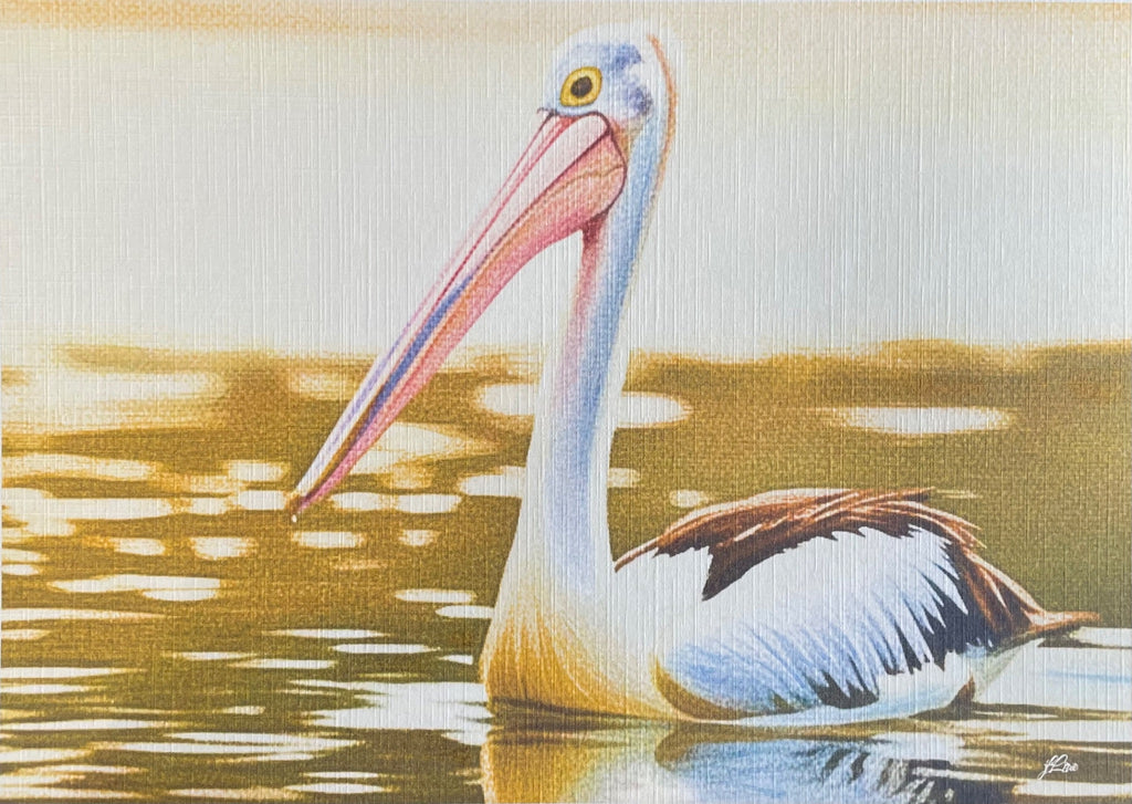 69164a62e1b8ea140711df10_golden-hour-pelican-coahd-by-jflowe_1782886212542.jpeg