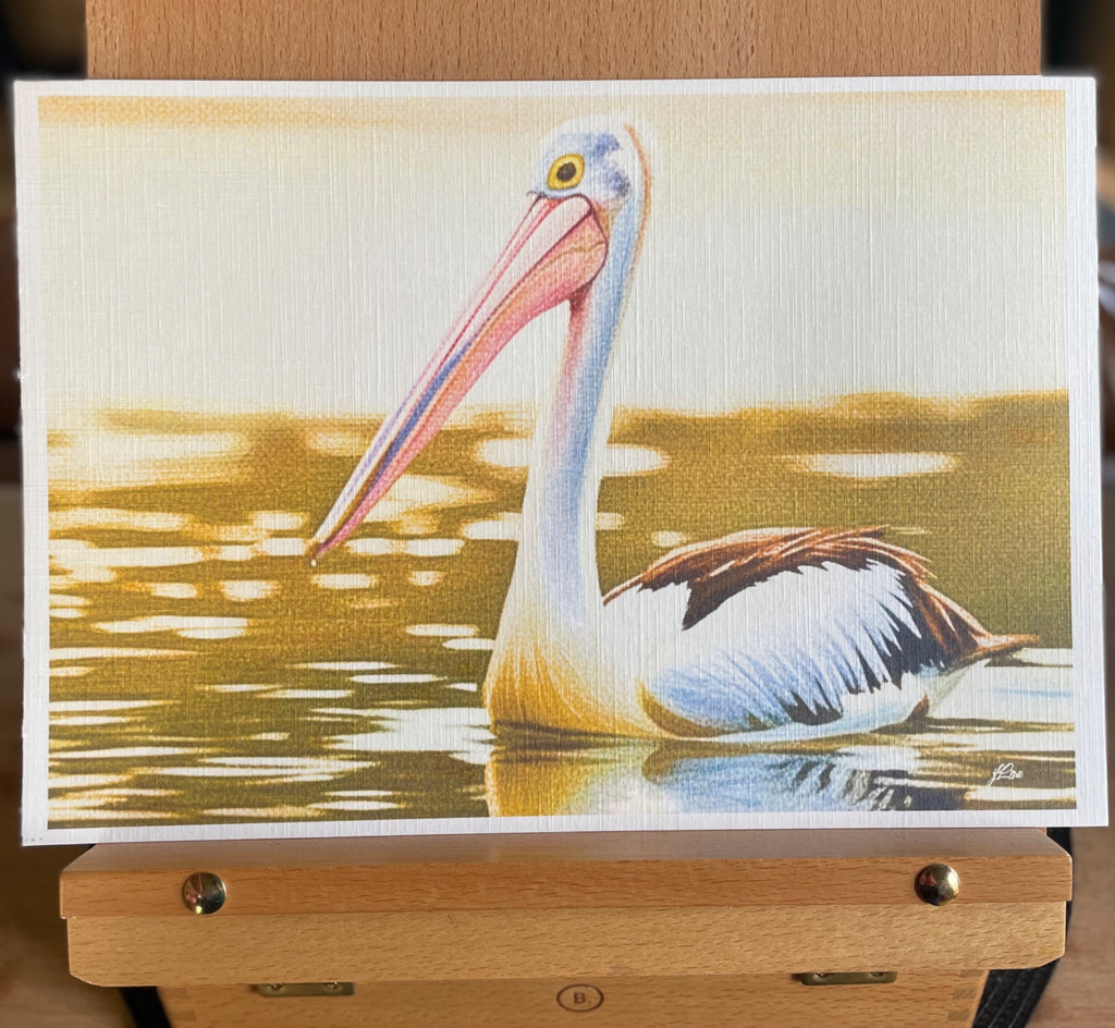 69164a62e1b8ea140711df10_golden-hour-pelican-coahd-edges_1782886212546.jpeg