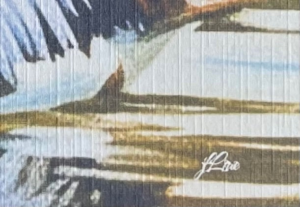 69164a62e1b8ea140711df10_golden-hour-pelican-coahd-signed_1782886212547.jpeg
