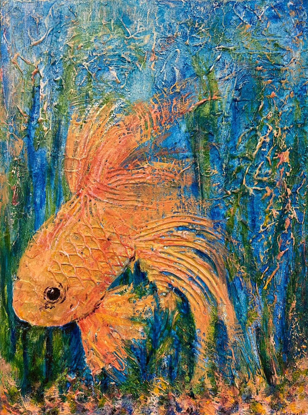 69164a62e1b8ea140711df10_goldfishfull_1783856920014.png