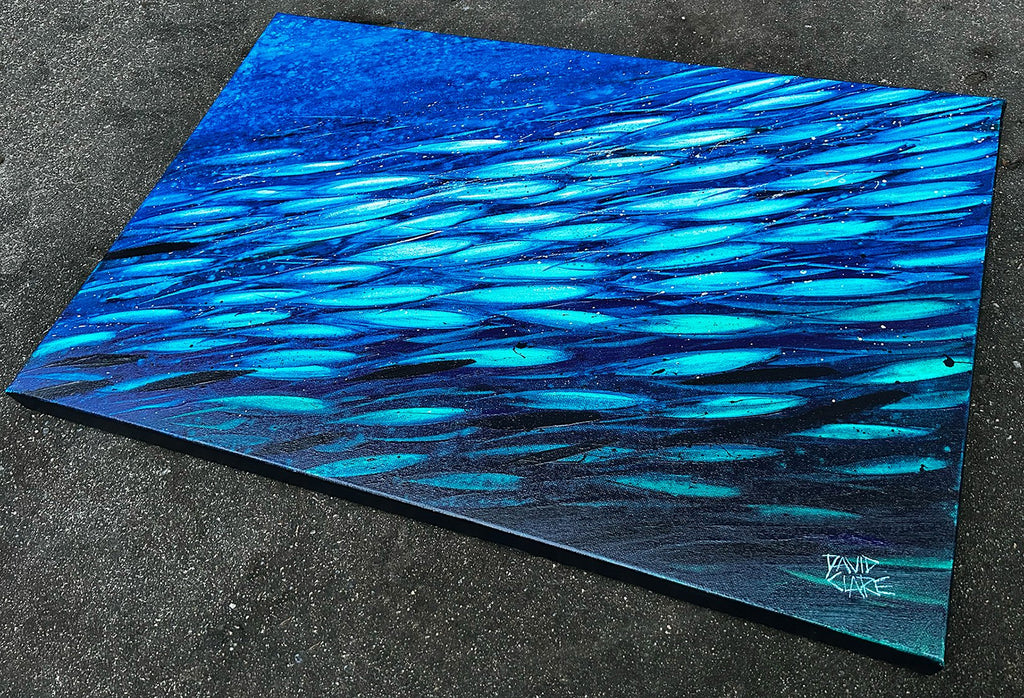 69164a62e1b8ea140711df10_green-and-blue-fish-angle-lr_1780431875035.jpg