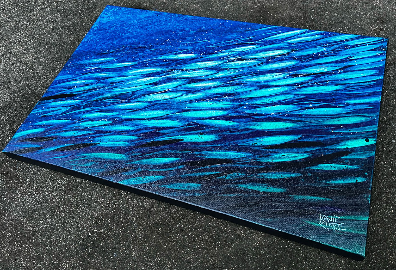 69164a62e1b8ea140711df10_green-and-blue-fish-angle-lr_1780431875035.jpg
