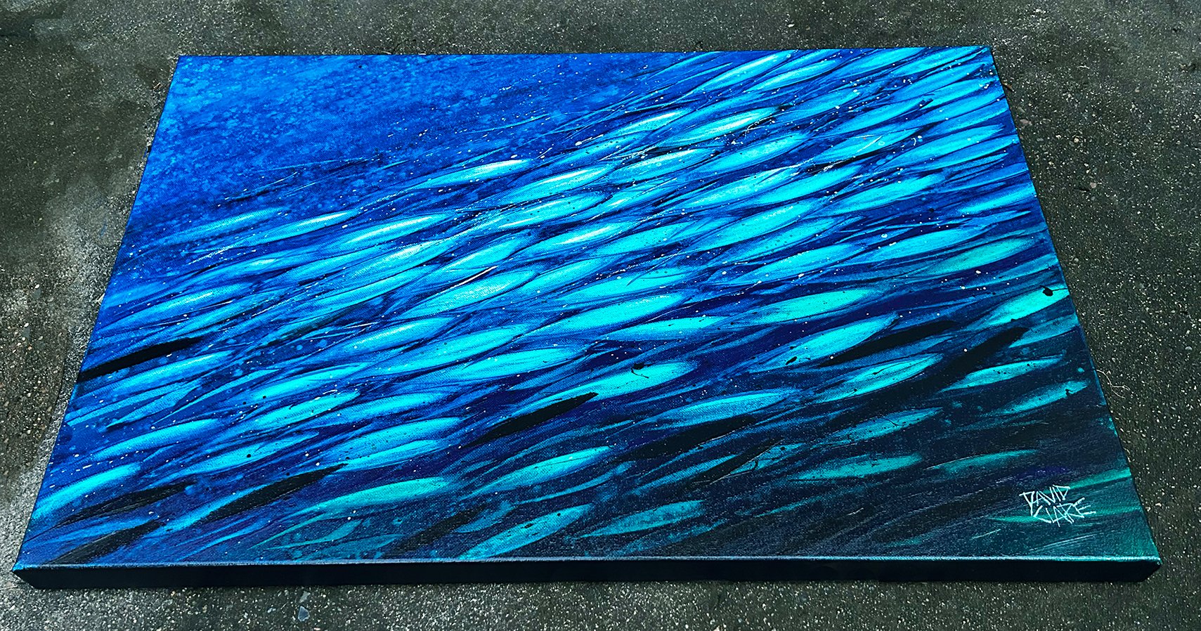 69164a62e1b8ea140711df10_green-and-blue-fish-bottom-lr_1780431875036.jpg