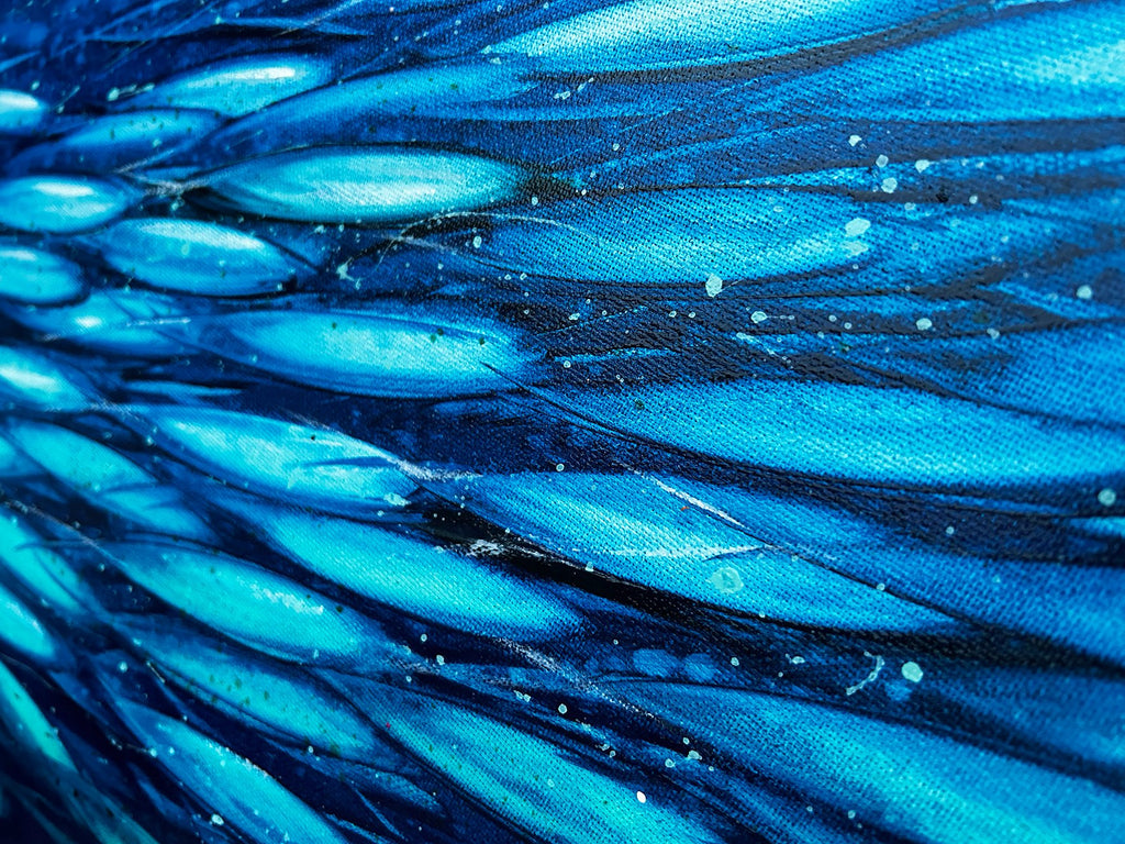 69164a62e1b8ea140711df10_green-and-blue-fish-close-lr_1780431875035.jpg
