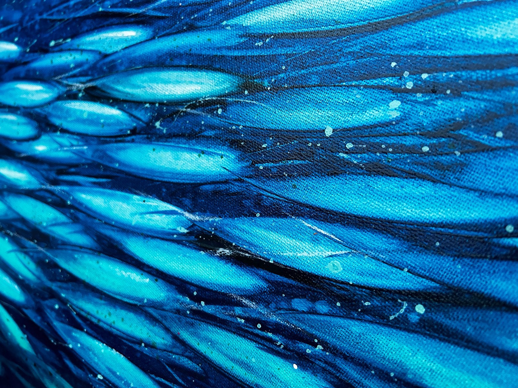 69164a62e1b8ea140711df10_green-and-blue-fish-close-lr_1780431875035.jpg
