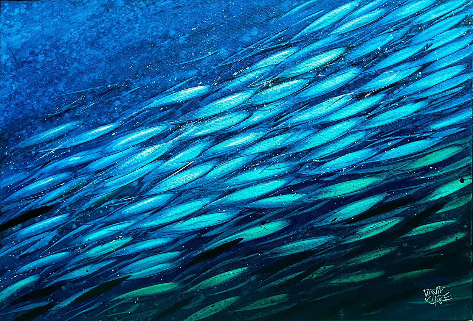 69164a62e1b8ea140711df10_green-and-blue-fish-lr_1780431875034.jpg