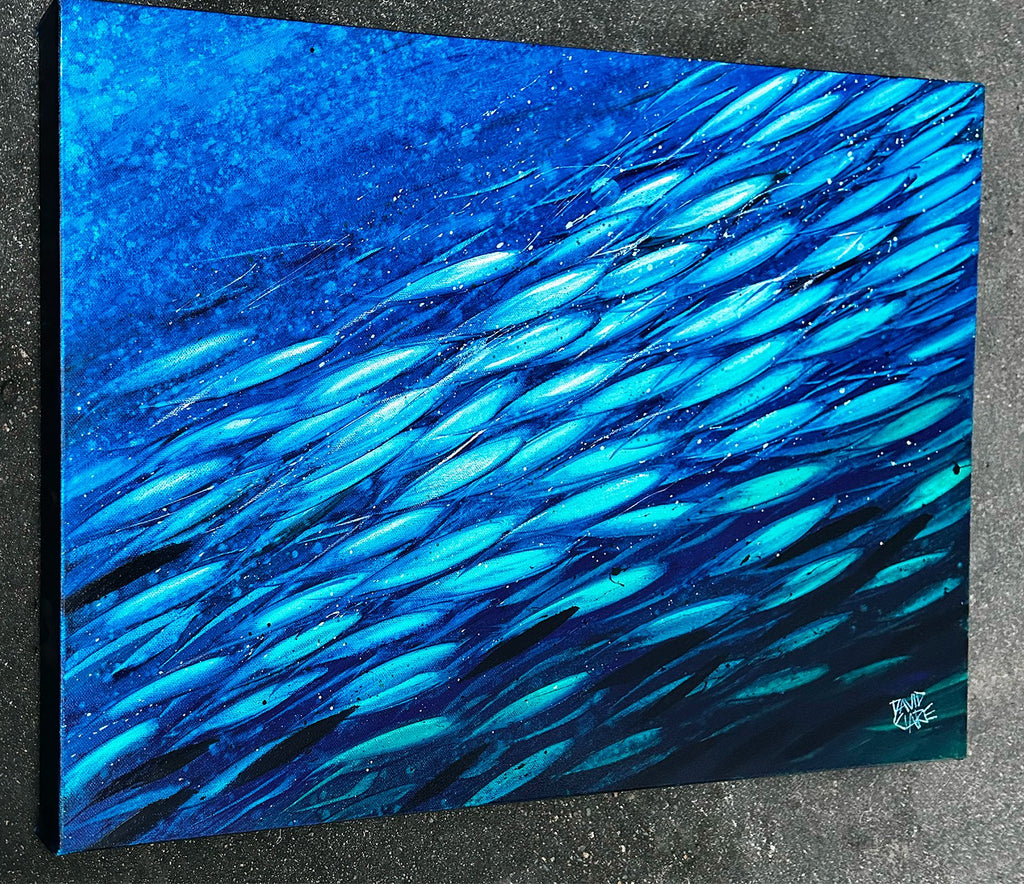 69164a62e1b8ea140711df10_green-and-blue-fish-ls-lr_1780431875036.jpg