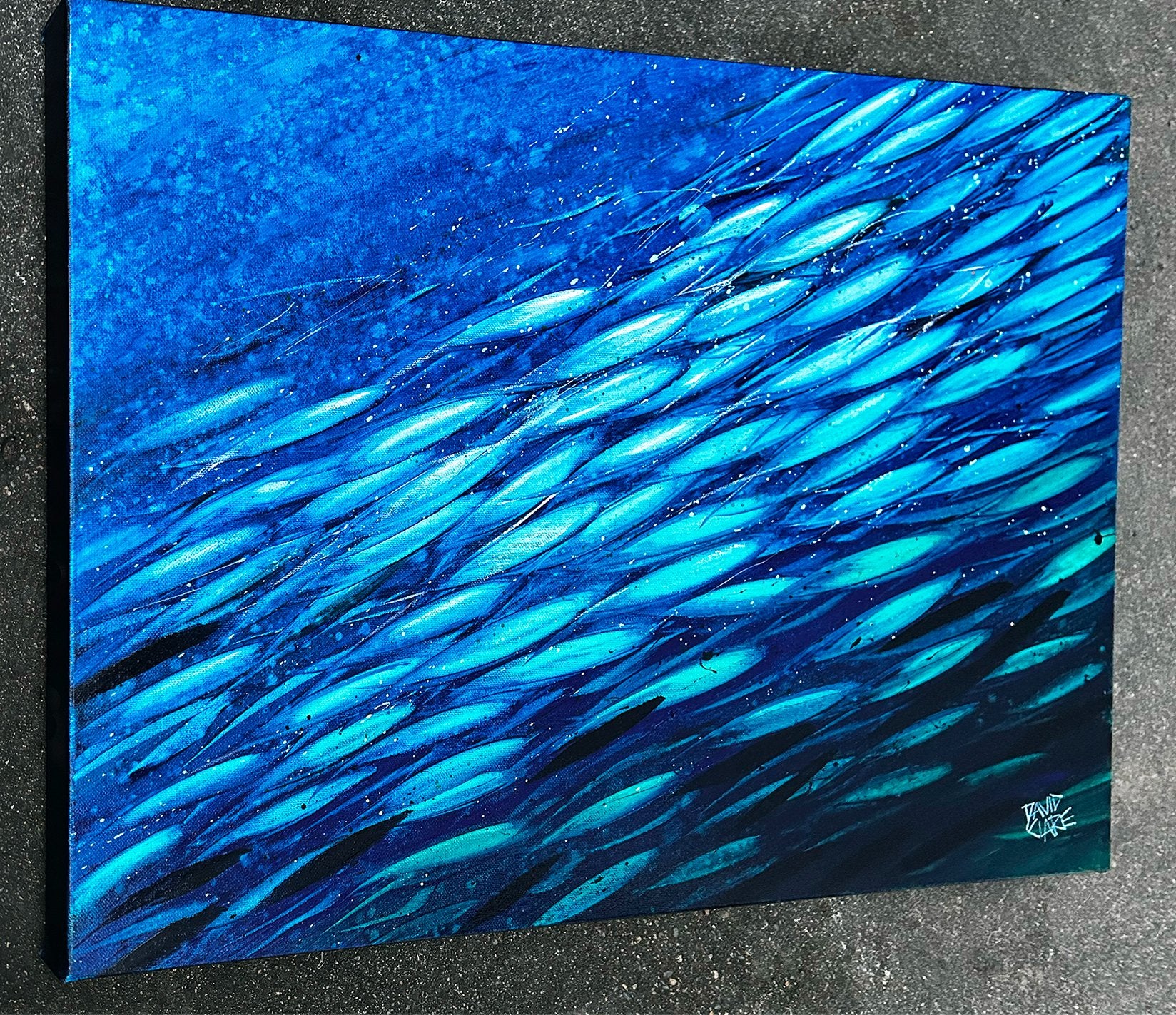 69164a62e1b8ea140711df10_green-and-blue-fish-ls-lr_1780431875036.jpg