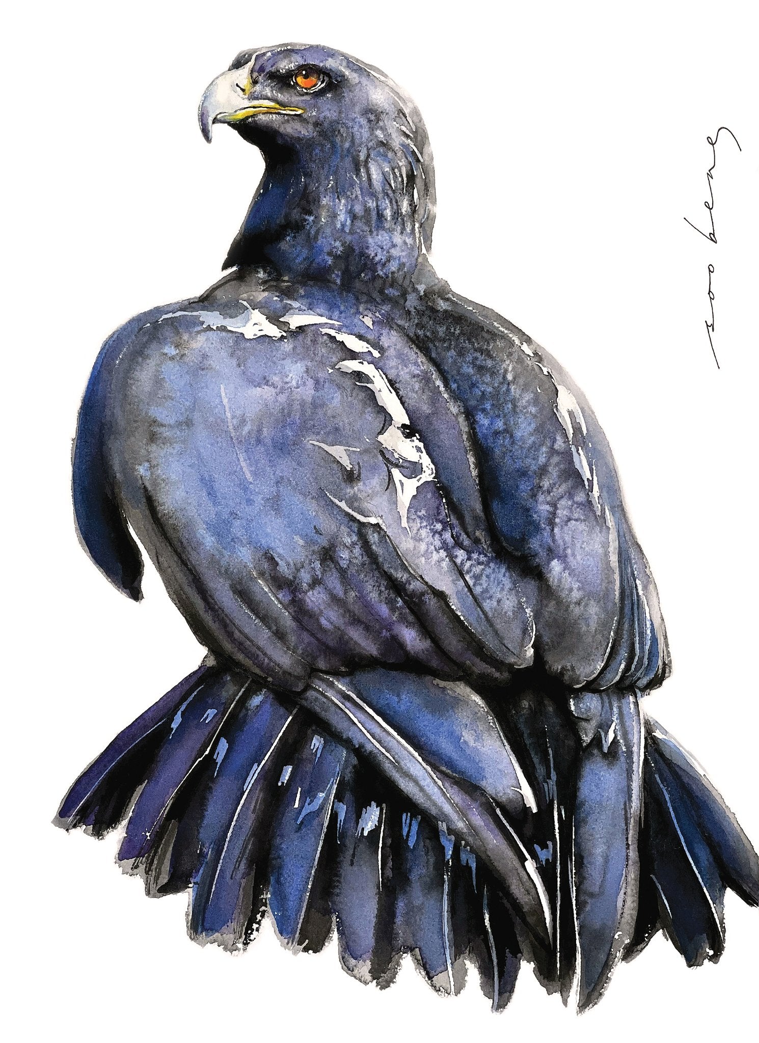69164a62e1b8ea140711df10_guardian-eagle-copy_1773652023722.jpg