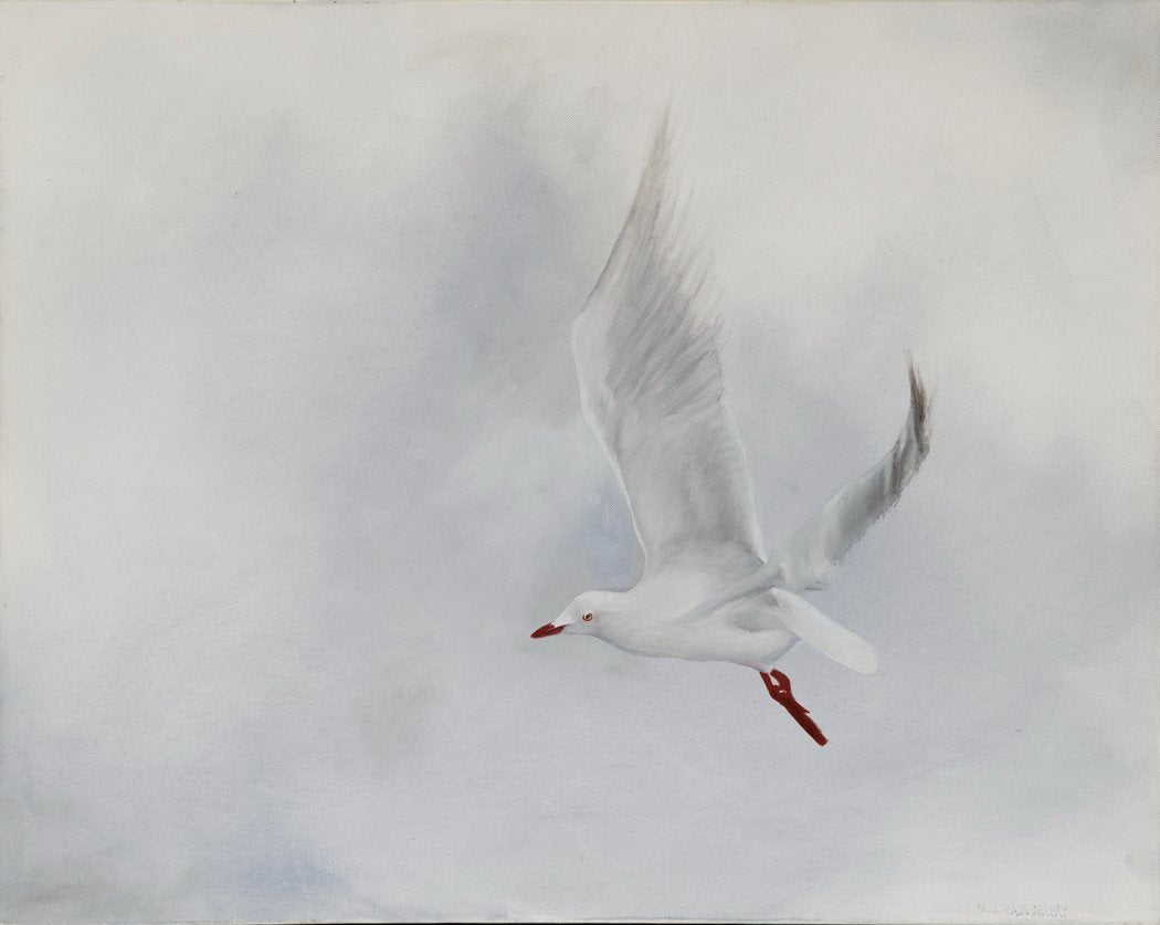 69164a62e1b8ea140711df10_gull_1773037447464.jpg