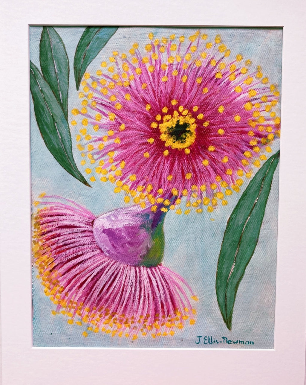 69164a62e1b8ea140711df10_gum-blossoms-new_1775292969205.jpg
