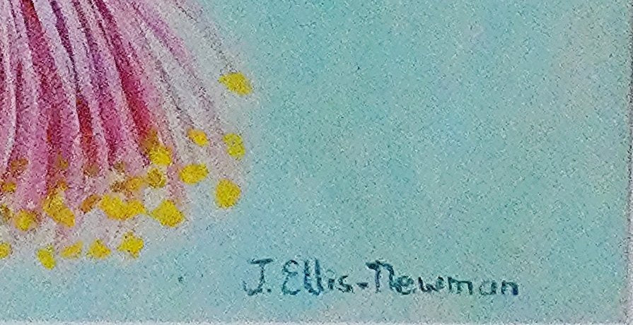 69164a62e1b8ea140711df10_gum-blossoms-signature_1775291379357.jpg