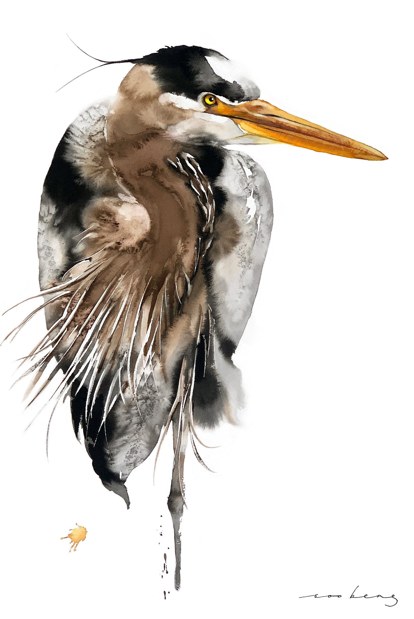 69164a62e1b8ea140711df10_heron-musings-copy_1773183183940.jpg