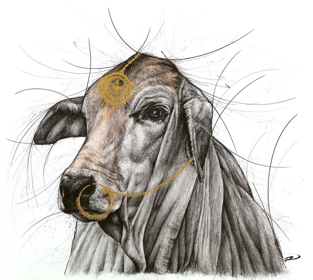 69164a62e1b8ea140711df10_holy-cow_1768113314511.jpg
