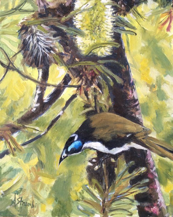69164a62e1b8ea140711df10_honeyeater-2_1783813565221.jpg