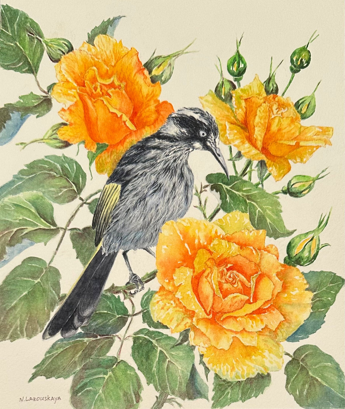 69164a62e1b8ea140711df10_honeyeater-with-yellow-roses_1792833375896.jpeg